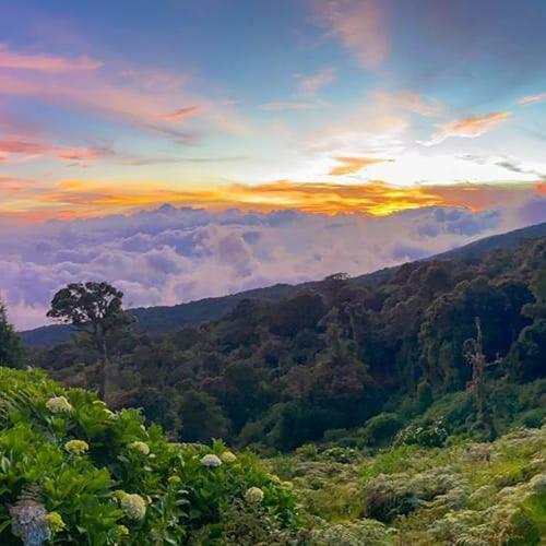 Lagunillas Del Poas Poasito Ngoại thất bức ảnh