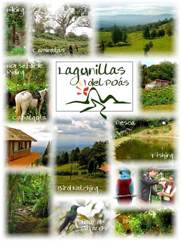 Lagunillas Del Poas Poasito Phòng bức ảnh
