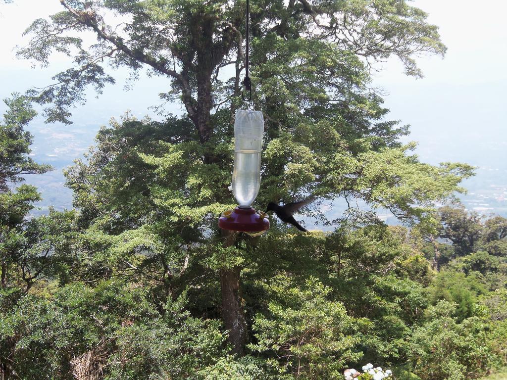 Lagunillas Del Poas Poasito Phòng bức ảnh