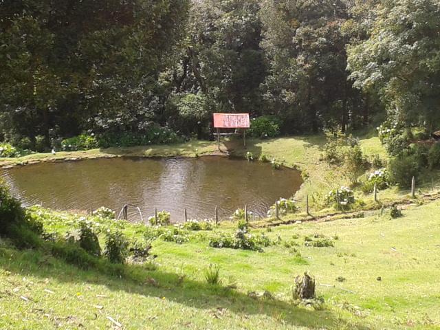 Lagunillas Del Poas Poasito Ngoại thất bức ảnh